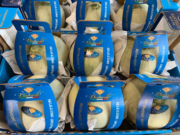 «Meloni, successo garantito con un prodotto di qualità»