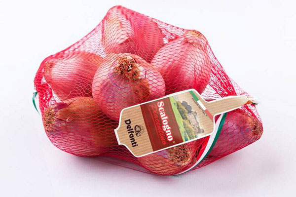 Entra nel vivo la nuova stagione dello Scalogno Piacentino