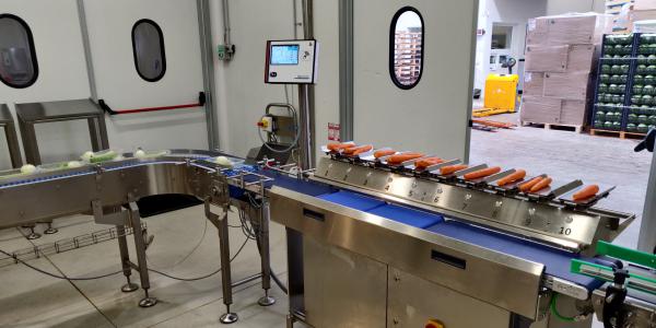 Come perfezionare il confezionamento dell'ortofrutta