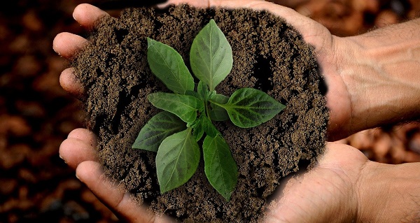 Coldiretti, agricoltura italiana la più green d'Europa