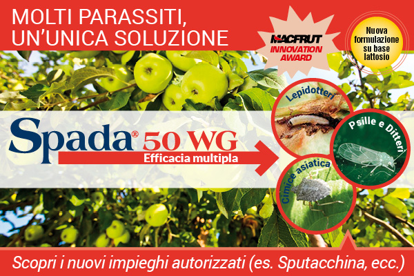 Impiego più ampio per Spada 50 Wg di Gowan