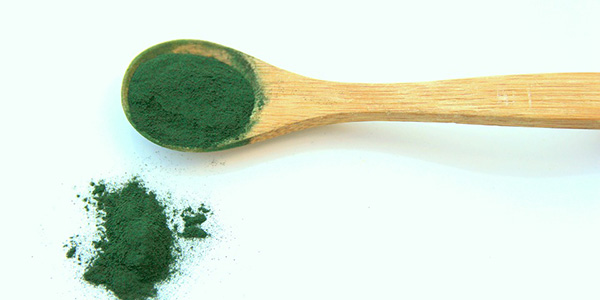 Sardegna, due impianti per produrre spirulina