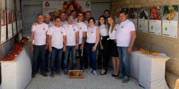 Isi Sementi serra demo pomodoro Sicilia