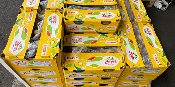 Kiwi gialli, dalla Nuova Zelanda è arrivato Sungold