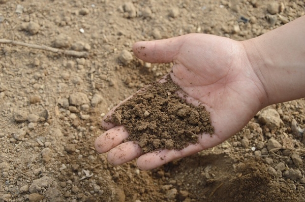 Fertilizzanti, salute del suolo e sicurezza alimentare