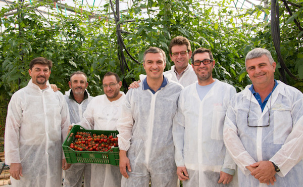 Azienda Dorilli Sicilia Pomodori Serre Attive