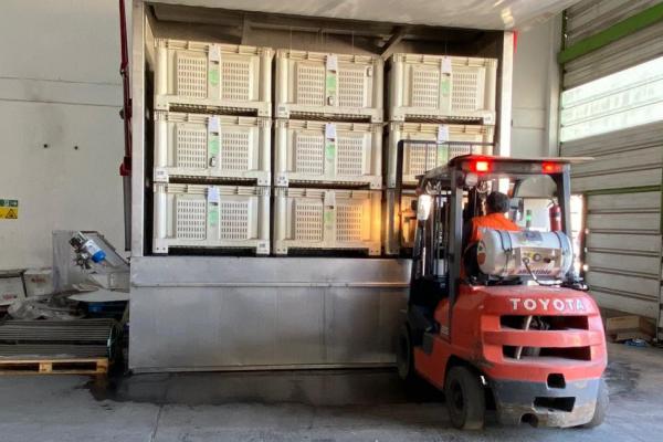 Frutta, più shelf-life con la termoterapia di Cedax