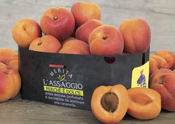 Tigros, la frutta estiva che «Merita l'Assaggio»
