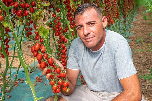 «Territorialità, il motore trainante del nostro e-commerce»