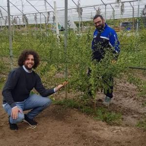 finger lime basilicata