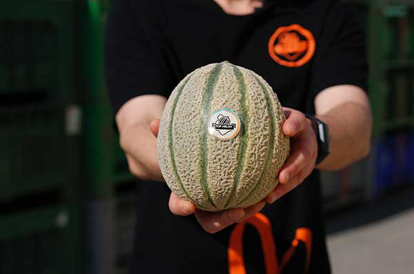 Meloni, l’Umbria sale sul podio