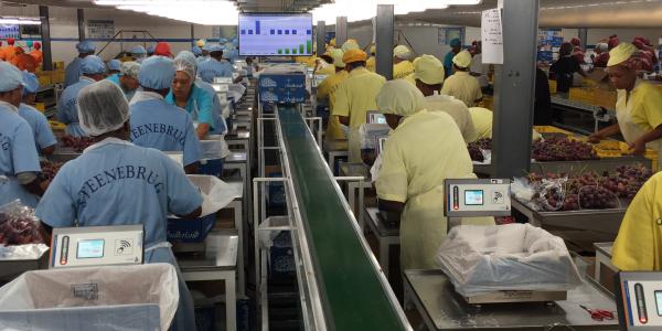 TopControl, la tecnologia italiana alla conquista del mondo
