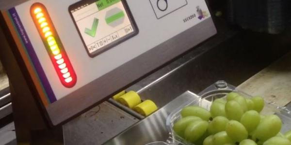 Uva da tavola, Apofruit preme l'acceleratore con TopControl