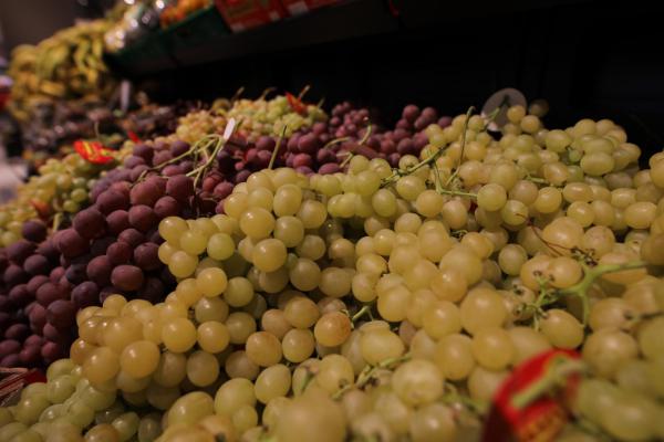 Uva con i semi, da Mazzarrone l'allarme: rischia di sparire 