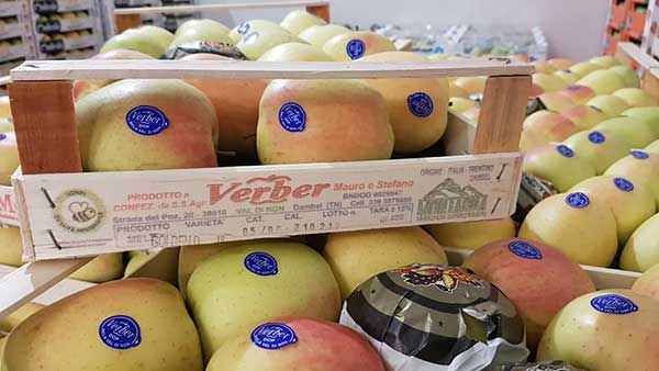 «Qualità e ricerca, i segreti delle nostre mele»