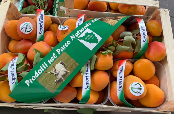 «I vantaggi di coltivare nel parco della Maremma»