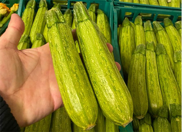 Zucchine, le virosi fanno schizzare i prezzi delle chiare