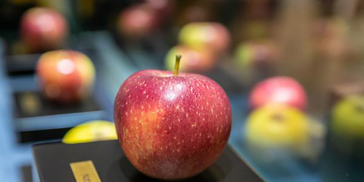 AgroFresh presenterà diverse novità a Interpoma