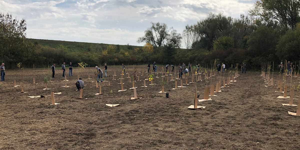SVIZZERA, Ratikon, "Velocità Limitata" - Gruppo Ragni Della Grignetta - Foto 7